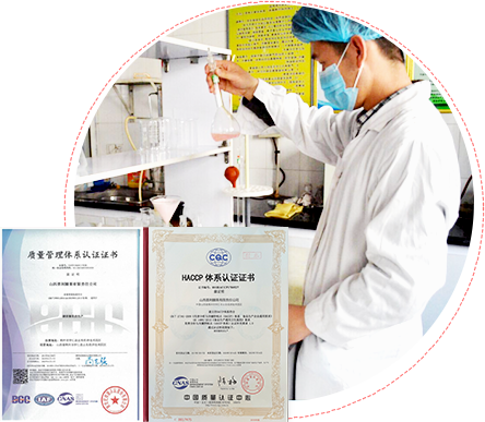 山西晋利开云(中国)有限责任公司